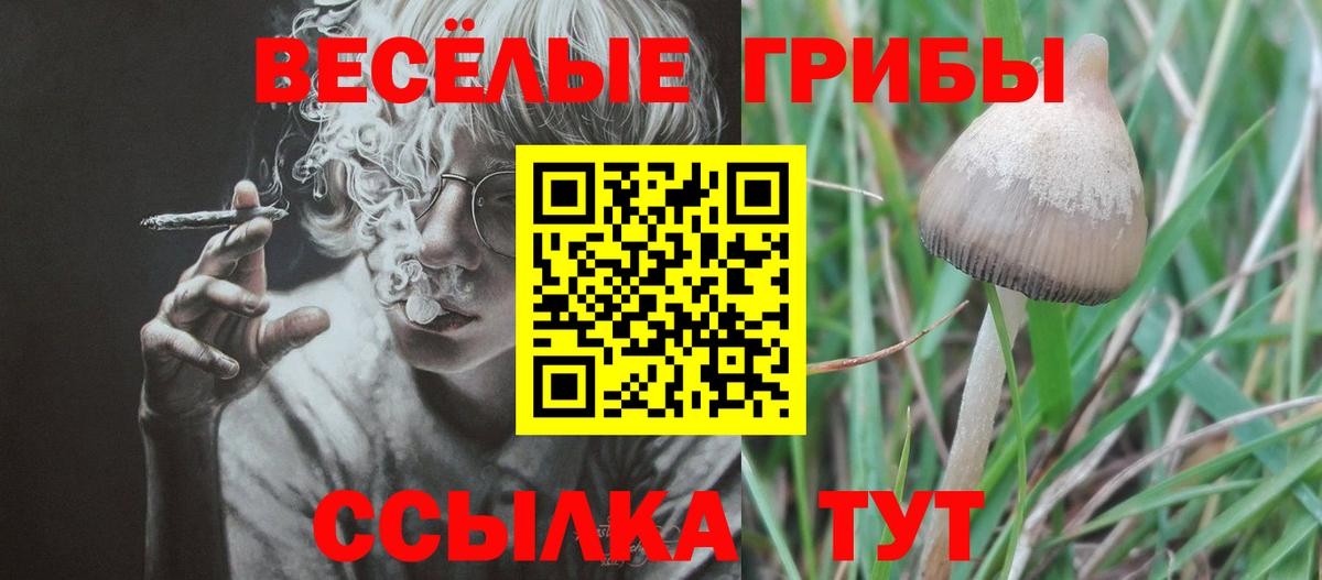 Уварово  Псилоцибиновые грибы Cubensis  наркотики  Вход с VPN  Галлюциногенные грибы GOLDEN TEACHER 